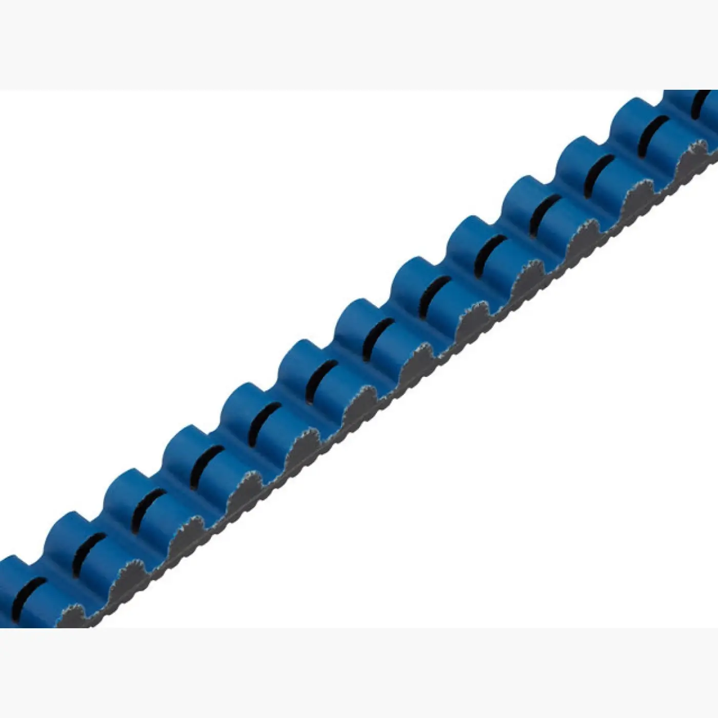 Gates CDX Belt Black/Blue - Hajtásrendszer (SKU: CDXB113)